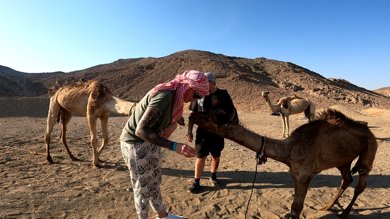 3-Hour Morning Dune Buggy Tour – An Unforgettable Desert Adventure! photo