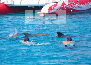 Sailing catamaran El Gouna photo