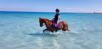 Horseback riding in Hurghada: Horseback riding on the beach or in the desert photo
