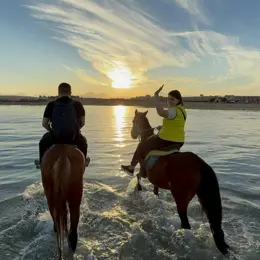 Horseback riding in Hurghada: Horseback riding on the beach or in the desert photo