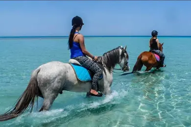 Horseback riding in Hurghada: Horseback riding on the beach or in the desert photo