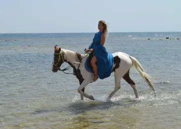 Horseback riding in Hurghada: Horseback riding on the beach or in the desert photo