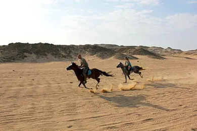 Horseback riding in Hurghada: Horseback riding on the beach or in the desert photo