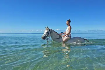 Horseback riding in Hurghada: Horseback riding on the beach or in the desert photo