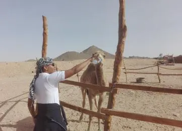 3 hour quad tour with camel riding photo