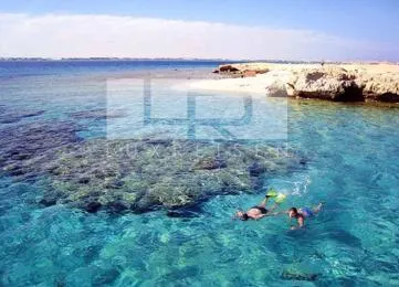 Sharm El Naga schnorcheln  photo