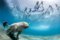 Dugongs in der Tiefe